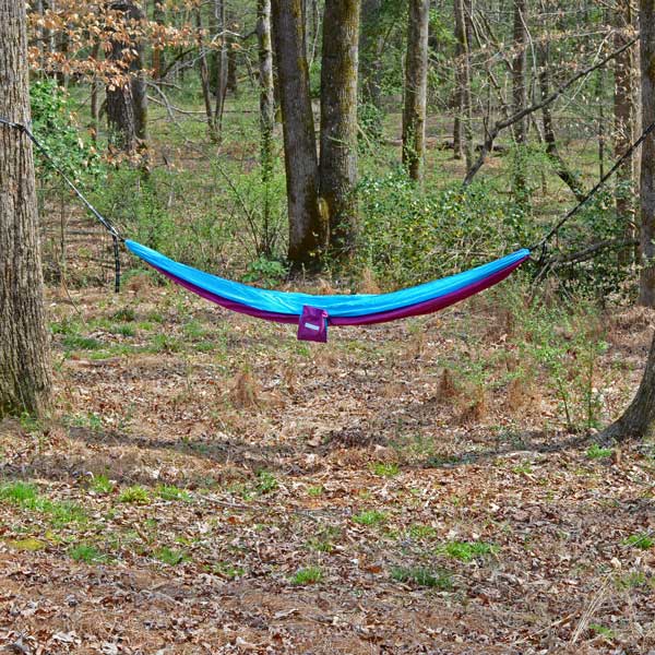 Bright Purple and Blue GO2 Traveler Nylon Hammock in Woods