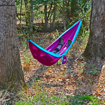 Person Laying in Magenta Camping Hammock in Woods